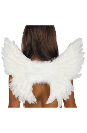 Alas Plumas Blancas 55 X 45 cms