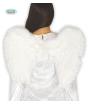 Alas plumas blancas 60  x 45 cms* Gui