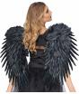 Alas Plumas color Negras Premium