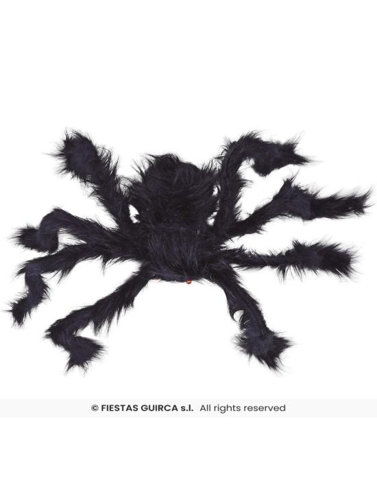 Araña negra, 70 cms.