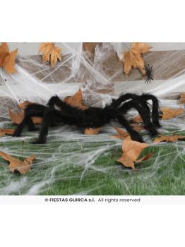 Araña negra, 70 cms.