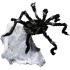 Araña saltadora gigante (91 cm)