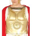 Armadura Romana de 50 cms