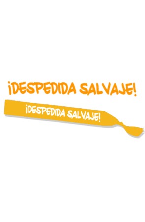 BANDA 70 DESPEDIDA SALVAJE COLORES SURTIDOS