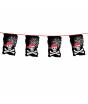 Banderines Piratas Calavera 10 m