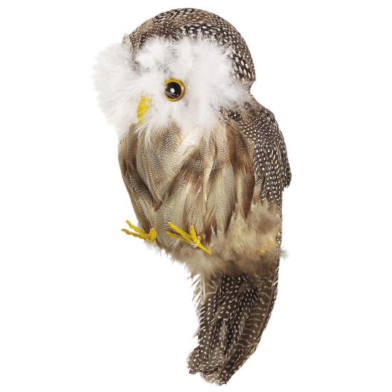 Búho con Plumas Búho con Plumas