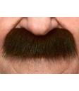Bigote Negro caballero