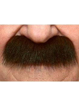 Bigote Negro caballero