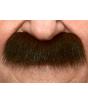 Bigote Negro caballero