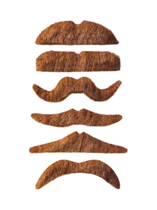 Bigote Rubio .