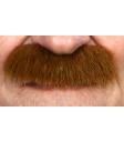Bigote Tupido marrón