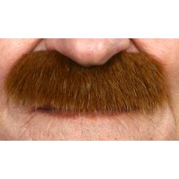 Bigote Tupido marrón