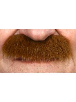 Bigote Tupido marrón