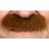 Bigote Tupido marrón