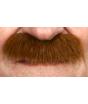 Bigote Tupido marrón