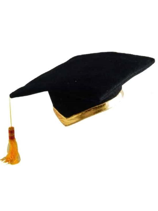 Birrete de Graduación Infantil Oficial de Fieltro – Gorro Graduación Niño