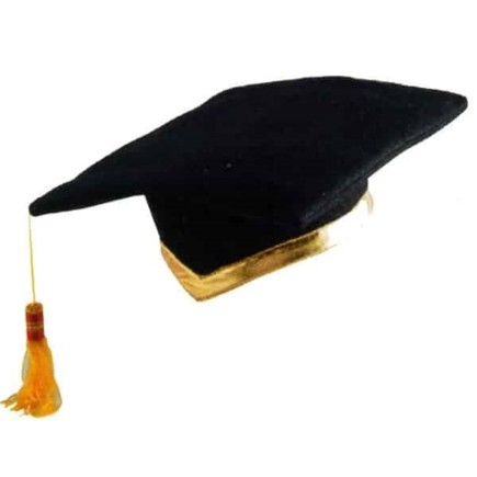Birrete Fieltro Lujo Oficial Graduación talla infantil