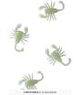 Bolsa 8 escorpiones glow in the dark, 5 cms.