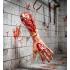 Brazo Amputado Realista 41 cm para Halloween