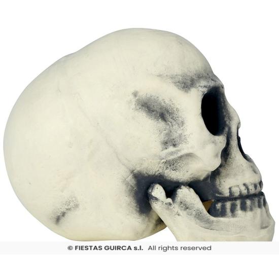 Calavera de Foam 32 cm – Decoración Realista de Halloween Calavera de Foam 32 cm – Decoración Realista de Halloween