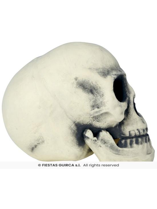 Calavera de Foam 32 cm – Decoración Realista de Halloween