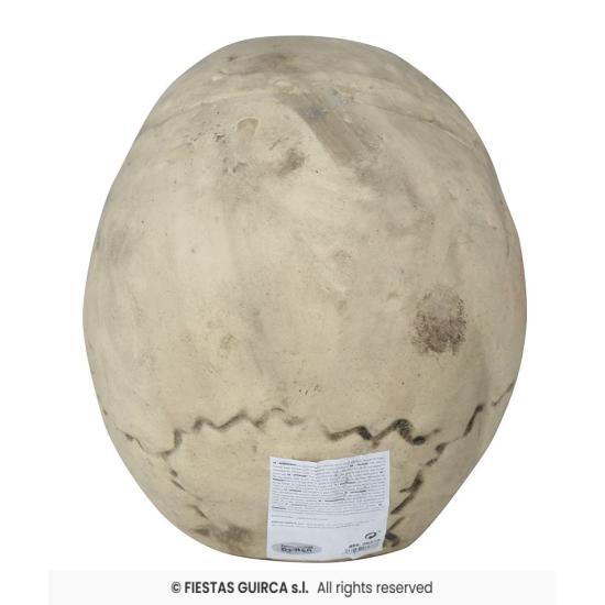 Calavera de Foam 32 cm – Decoración Realista de Halloween Calavera de Foam 32 cm – Decoración Realista de Halloween