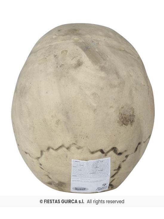 Calavera de Foam 32 cm – Decoración Realista de Halloween