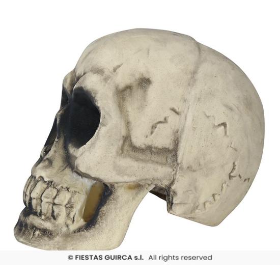 Calavera de Foam 32 cm – Decoración Realista de Halloween Calavera de Foam 32 cm – Decoración Realista de Halloween