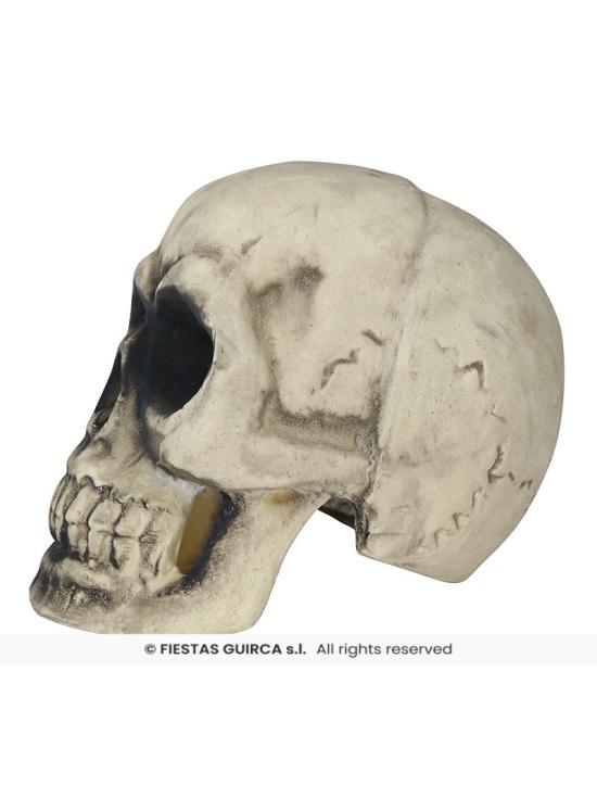 Calavera de Foam 32 cm – Decoración Realista de Halloween
