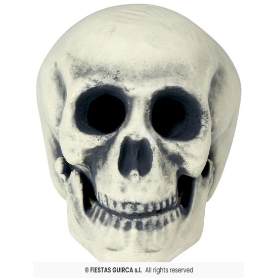 Calavera de Foam 32 cm – Decoración Realista de Halloween Calavera de Foam 32 cm – Decoración Realista de Halloween