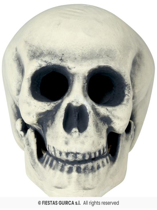 Calavera de Foam 32 cm – Decoración Realista de Halloween