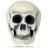 Calavera de Foam 32 cm – Decoración Realista de Halloween Calavera de Foam 32 cm – Decoración Realista de Halloween