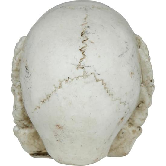 Calavera de Resina (6 cm) - Decoración de Halloween para Fiestas de Esqueletos y Celebraciones Terroríficas - Ideal para Ambientes Góticos y Escenarios de Miedo - Beige