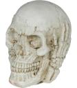 Calavera de Resina (6 cm) - Decoración de Halloween para Fiestas de Esqueletos y Celebraciones Terroríficas - Ideal para Ambientes Góticos y Escenarios de Miedo - Beige