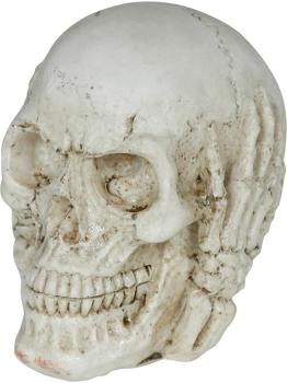 Calavera de Resina (6 cm) - Decoración de Halloween para Fiestas de Esqueletos y Celebraciones Terroríficas - Ideal para Ambientes Góticos y Escenarios de Miedo - Beige