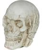 Calavera de Resina (6 cm) - Decoración de Halloween para Fiestas de Esqueletos y Celebraciones Terroríficas - Ideal para Ambientes Góticos y Escenarios de Miedo - Beige