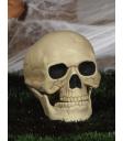 Calavera decorativa de 20 cm