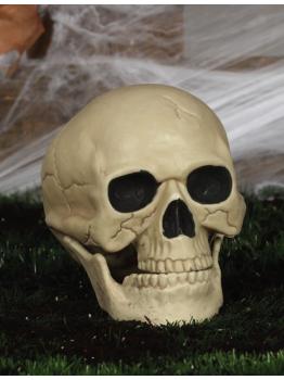 Calavera decorativa de 20 cm