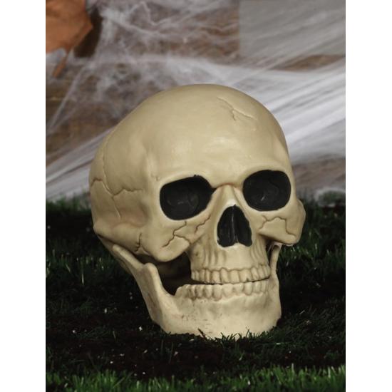 Calavera decorativa de 20 cm Calavera decorativa de 20 cm
