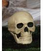 Calavera decorativa de 20 cm