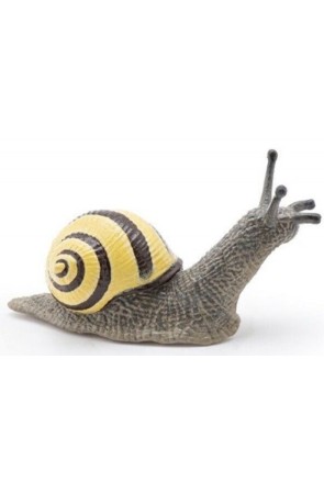 Caracol de Arboleda - Papo