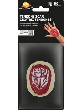 Cicatriz TENDONES Mano 10 CMS.Latex