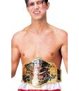 Cinturón de Campeón del Mundo Boxeo