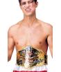 Cinturón de Campeón del Mundo Boxeo