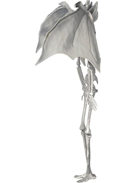 Colgante Esqueleto Vampiro con Alas 40 cm – Decoración de Halloween