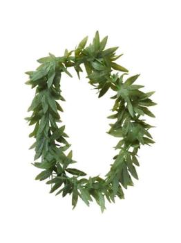Collar Tia Maria.