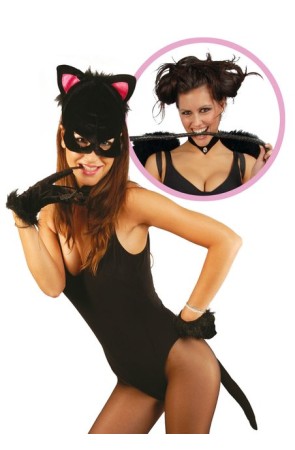 Conjunto de gatita sexy