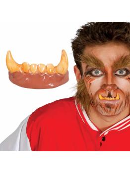 Dientes Colmillos Hombre Lobo