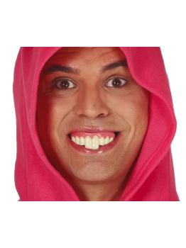 Dientes Conejo con Thermoplastica