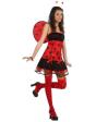 Disfraz  Mariquita Sexy Boom talla adulta